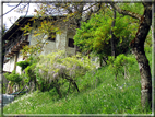 foto Passeggiata Rocca - Zanetti - Corlo